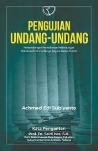 Image of Pengujian Undang-Undang : perkembangan permohonan perlindungan hak konstitusional warga negara dalam praktik